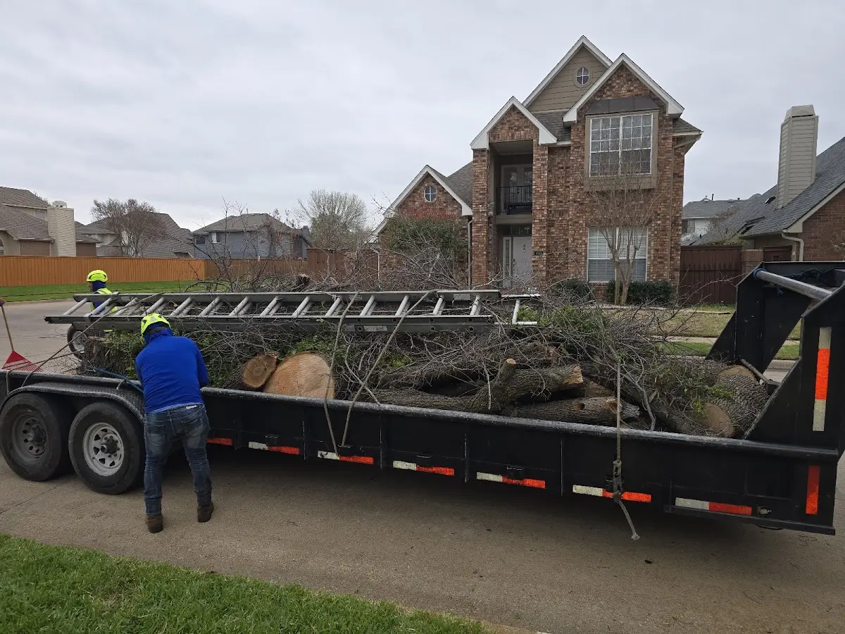 Expert Tree Fertilization with proper safety equipment in Erhard